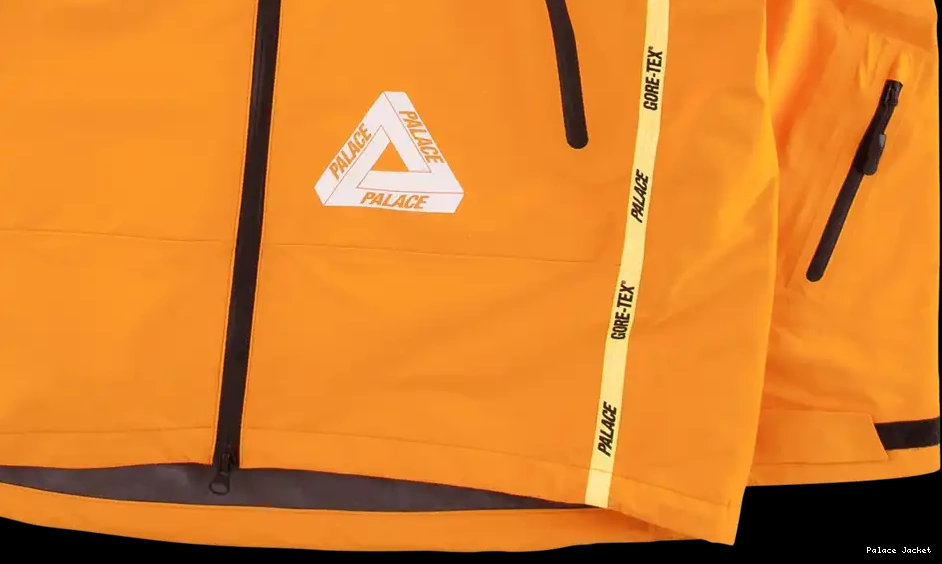 Cheap Palace Palex Gore-Tex Jacket 0603